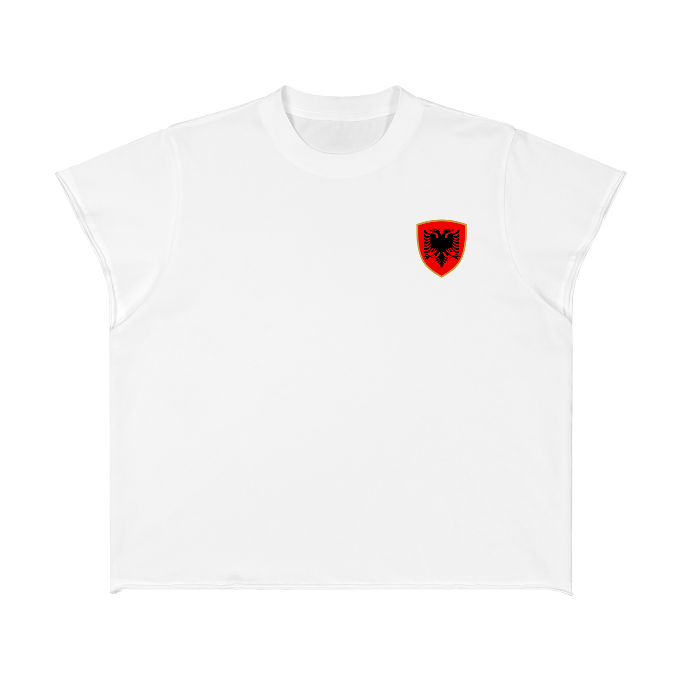AL Boxy Raw Edge T-Shirt